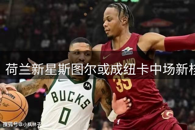 荷兰新星斯图尔或成纽卡中场新核 接班吉马良斯