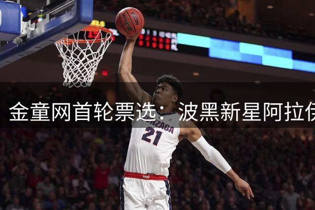 金童网首轮票选：波黑新星阿拉伊贝戈维奇暂居榜首